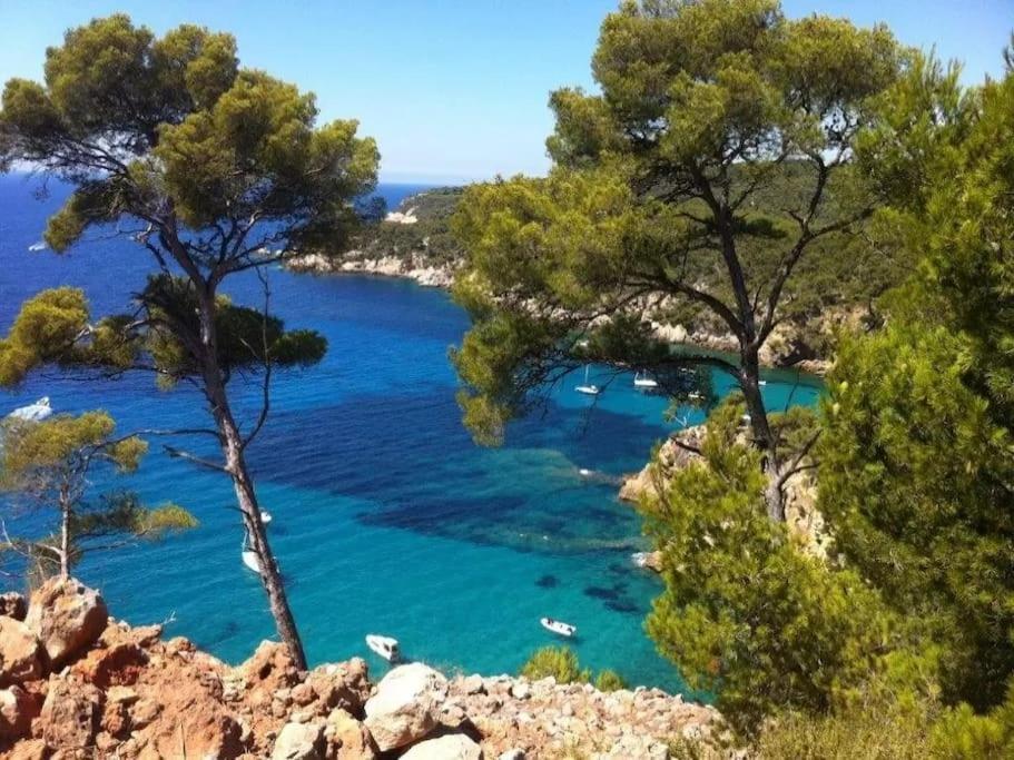 Apartamento Brad'S House. Saint-Cyr-sur-Mer Exterior foto